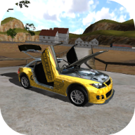 愤怒的汽车驾驶