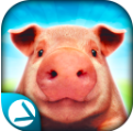 小猪模拟器