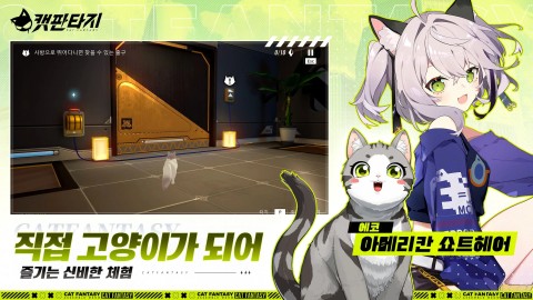 猫之城（韩服）