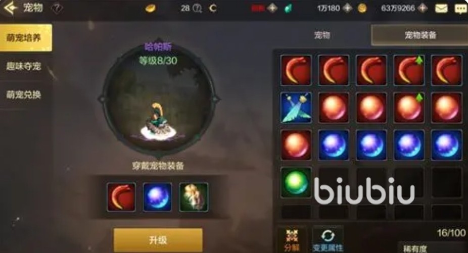 地下城与勇士起源宠物攻略 地下城与勇士起源宠物系统介绍