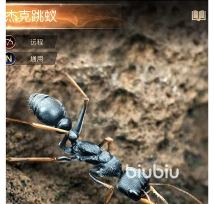 小小蚁国全运输蚁阵容怎么搭配 全运输蚁阵容搭配方法详解