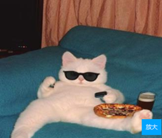 R.E.P.O大型Mod整合包