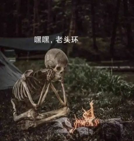 等一个环-艾尔登法环活尸化系列弔图