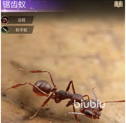 小小蚁国全运输蚁阵容怎么搭配 全运输蚁阵容搭配方法详解