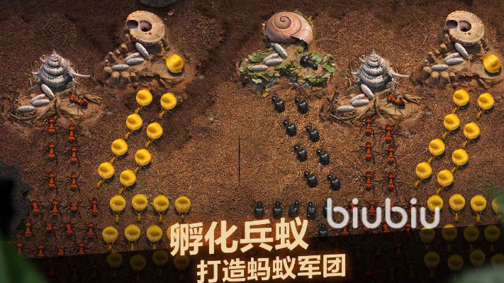 小小蚁国官网礼包码大全 官方礼包兑换码分享