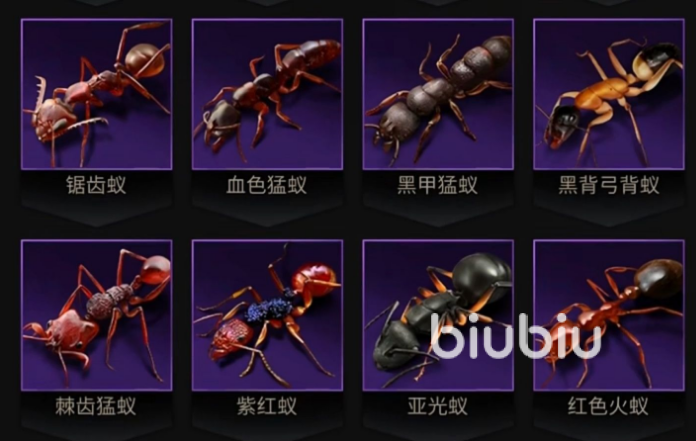 小小蚁国全运输蚁阵容怎么搭配 全运输蚁阵容搭配方法详解