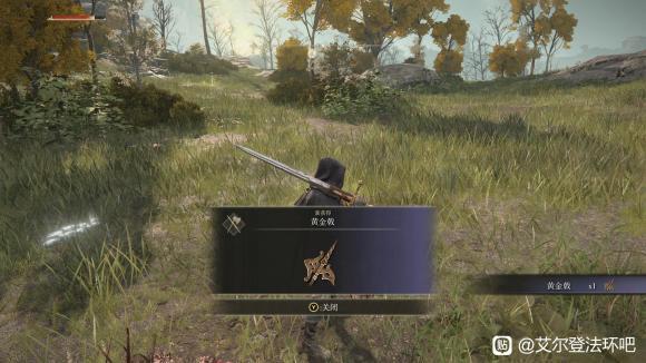 xsx新西兰人6小时老头坏个人心得