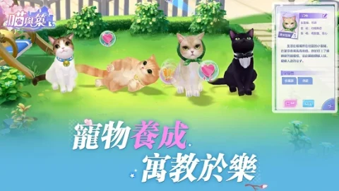 喵与筑（国服）