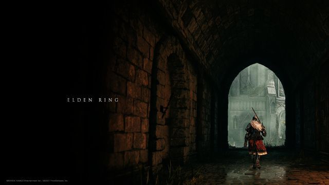 《艾尔登法环》 媒体线下试玩体验 独树一帜的魂系开放世界