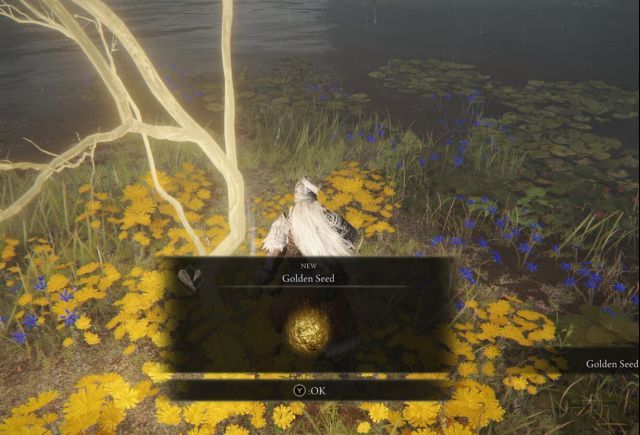 《艾尔登法环》 媒体线下试玩体验 独树一帜的魂系开放世界