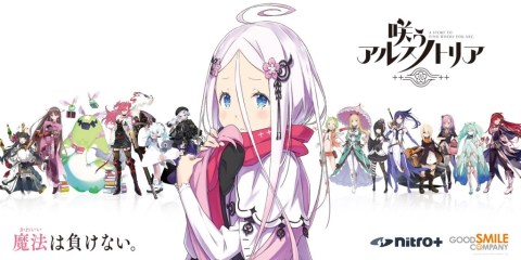 绽放的阿尔斯诺特利亚