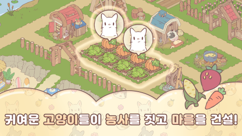 猫咪和汤：玛琅镇