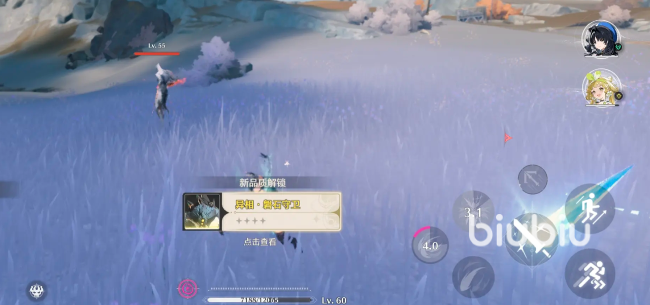 鸣潮磐石守卫怎么获得 鸣潮磐石守卫技能是什么