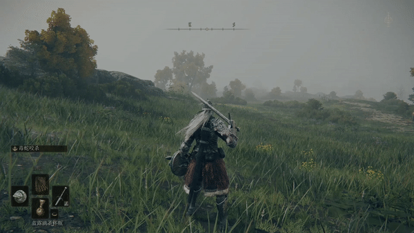 【保姆级萌新教学】艾尔登法环纯新手开局建议 老手勿喷