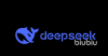 DeepSeek加速器哪个好用 PC加速器用哪个好更稳定