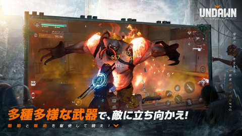 黎明觉醒（日服）