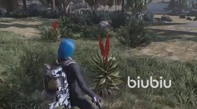 七日世界芦荟采集怎么做 七日世界芦荟采集方法介绍