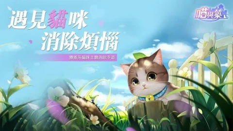 喵与筑（国服）