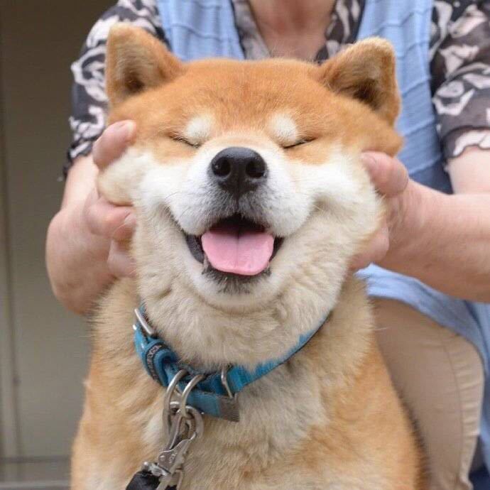 2019年了!现在是什么在阻挡我们玩游戏?