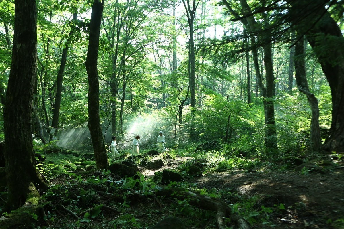 《约定的梦幻岛》真人电影画面 主演团队介绍
