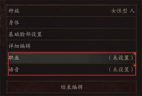 《龙之信条2》捏脸界面功能教程