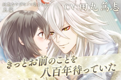 美男源氏传 妖怪恋缘