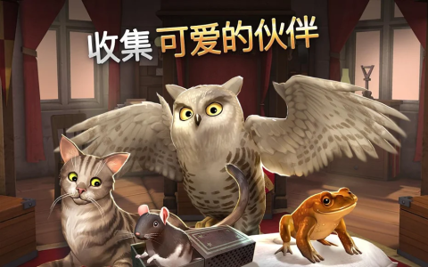 哈利波特：霍格沃茨的秘密