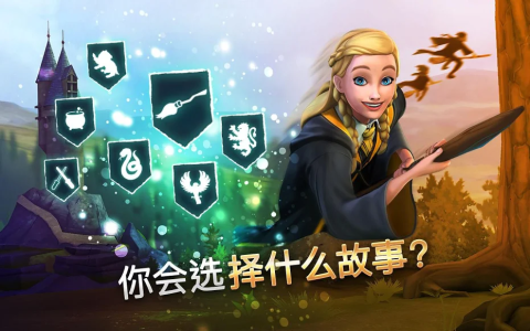 哈利波特：霍格沃茨的秘密