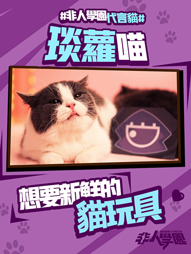 MOBA 游戏《非人学园》启动寻找代言猫活动