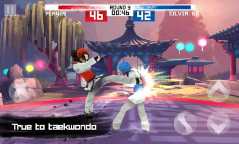 Taekwondo
