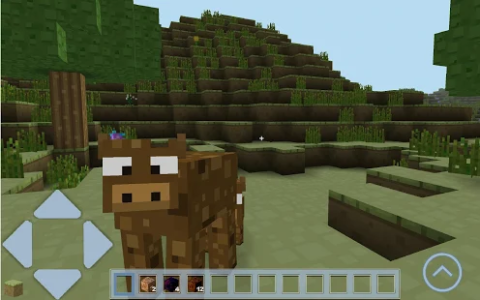 Crafting and Building