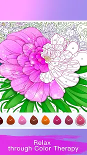 Paint Color: Color by Number