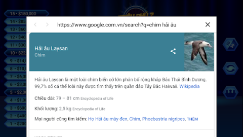 Di Tim Trieu Phu 2019: Đọc câu hỏi và 4 phương án