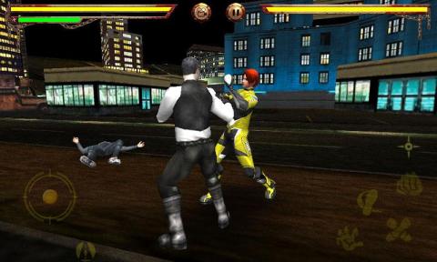 Fighting Tiger - Liberal