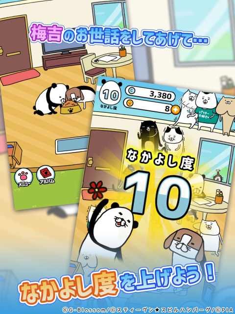 熊猫与狗狗的美好人生