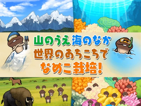 菇菇栽培研究室 The World