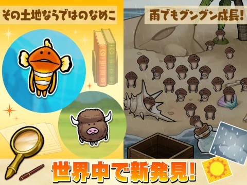 菇菇栽培研究室 The World