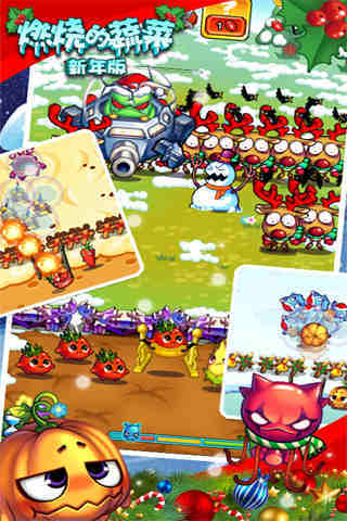 燃烧的蔬菜-新年版