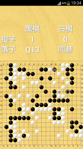 围棋大师