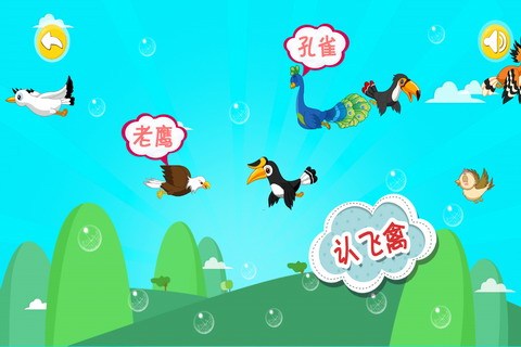 宝宝认飞禽