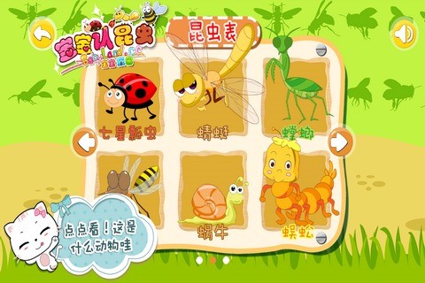宝宝认昆虫