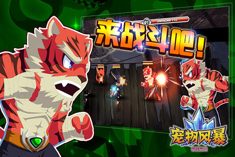 宠物风暴——希望之光