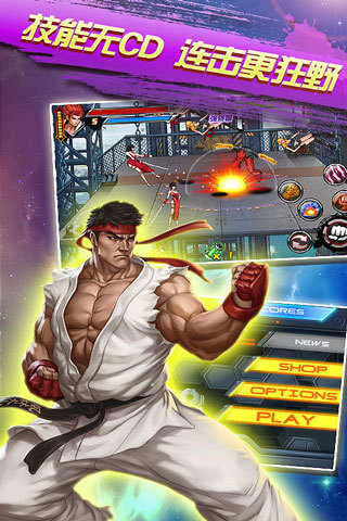 格斗拳皇2-冬荫功