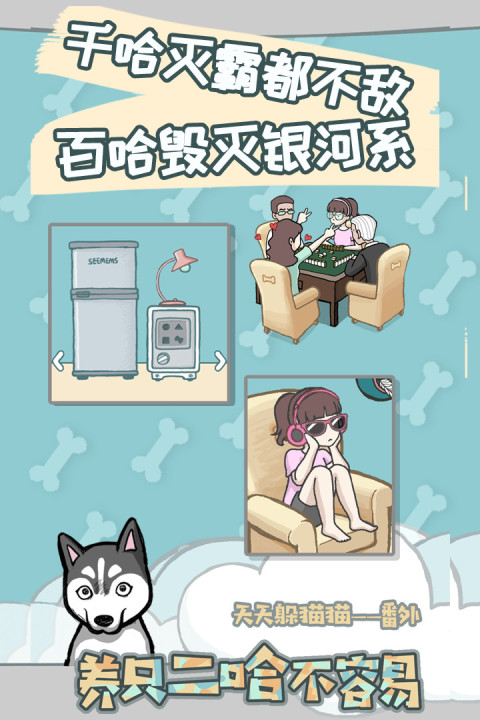 养只二哈不容易