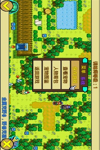 口袋妖怪：白金