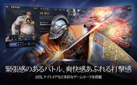 黑色沙漠（日服）