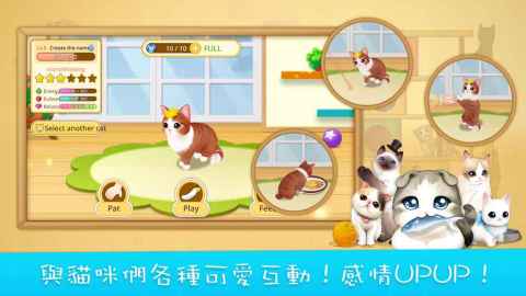 LINE 猫咪咖啡厅（台服）