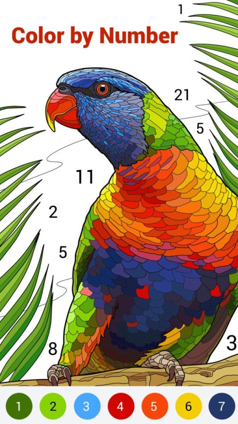 Color by Number – New Coloring Book