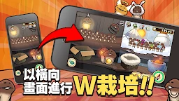 元祖菇菇栽培研究室