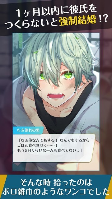 撿到婚約者 | 日文版